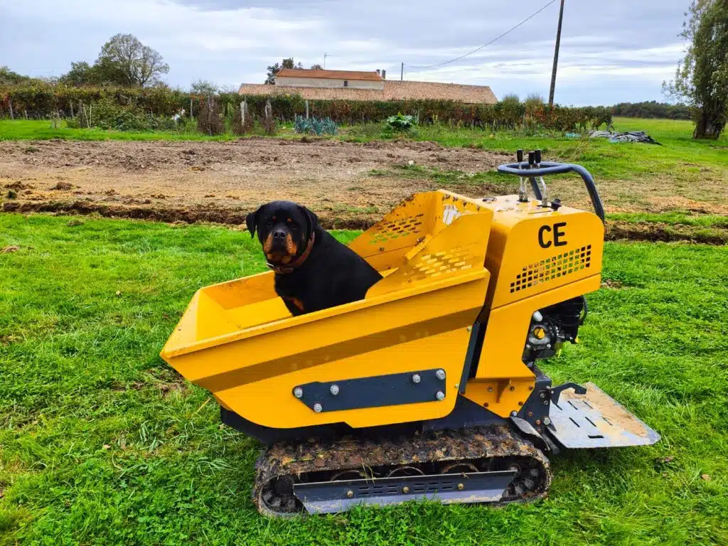 How to Choose a Chinese Mini Dumper in 2026 – Engines, Capacity, Specs & Real Buying Advice